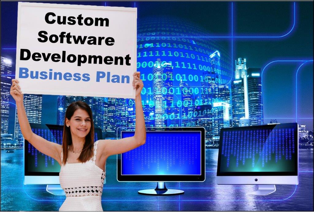 custom software development services provider in Helena Montana