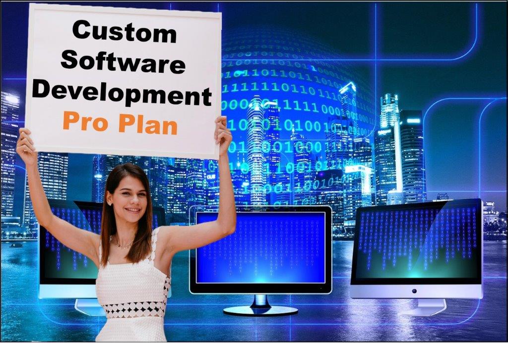custom software development agency in Helena Montana