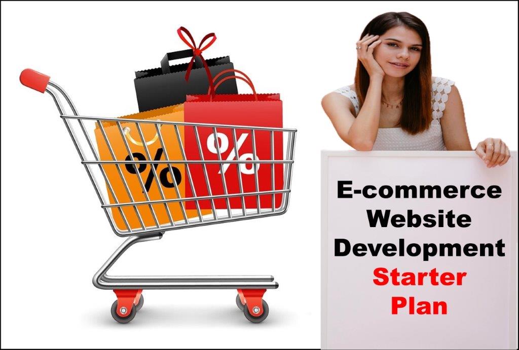E-Commerce Website Development in Helena Montana