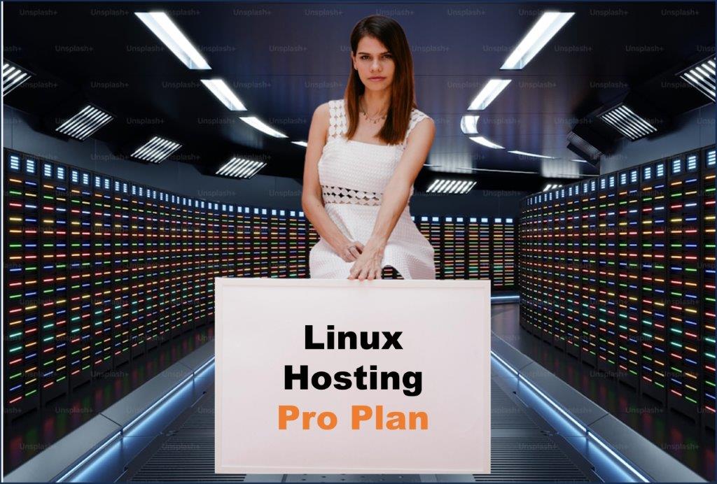 linux hosting windows hosting provider in Helena Montana