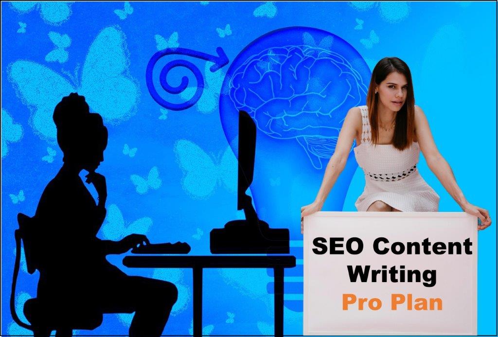 seo content writing agency Helena Montana