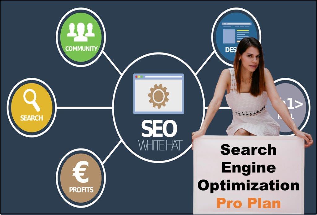 seo company Helena Montana