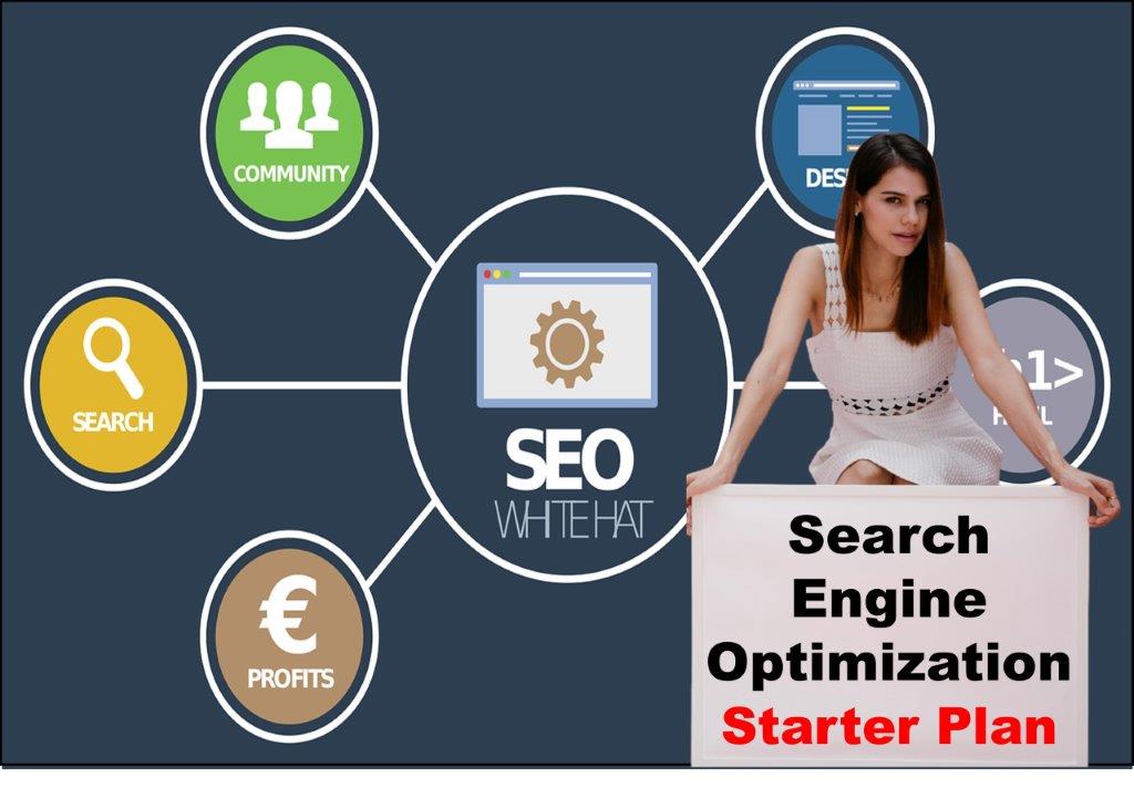 seo service provider in Helena Montana