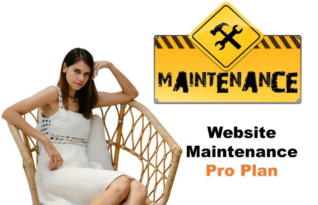 website maintenance agency in Helena Montana