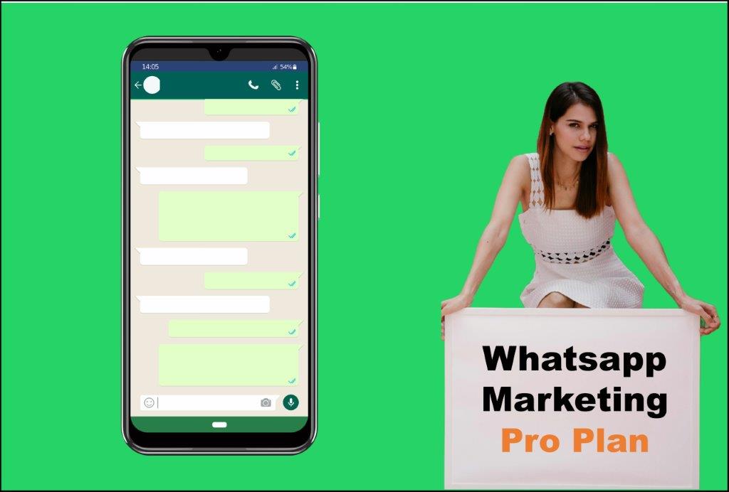 whatsapp marketing agency in Helena Montana