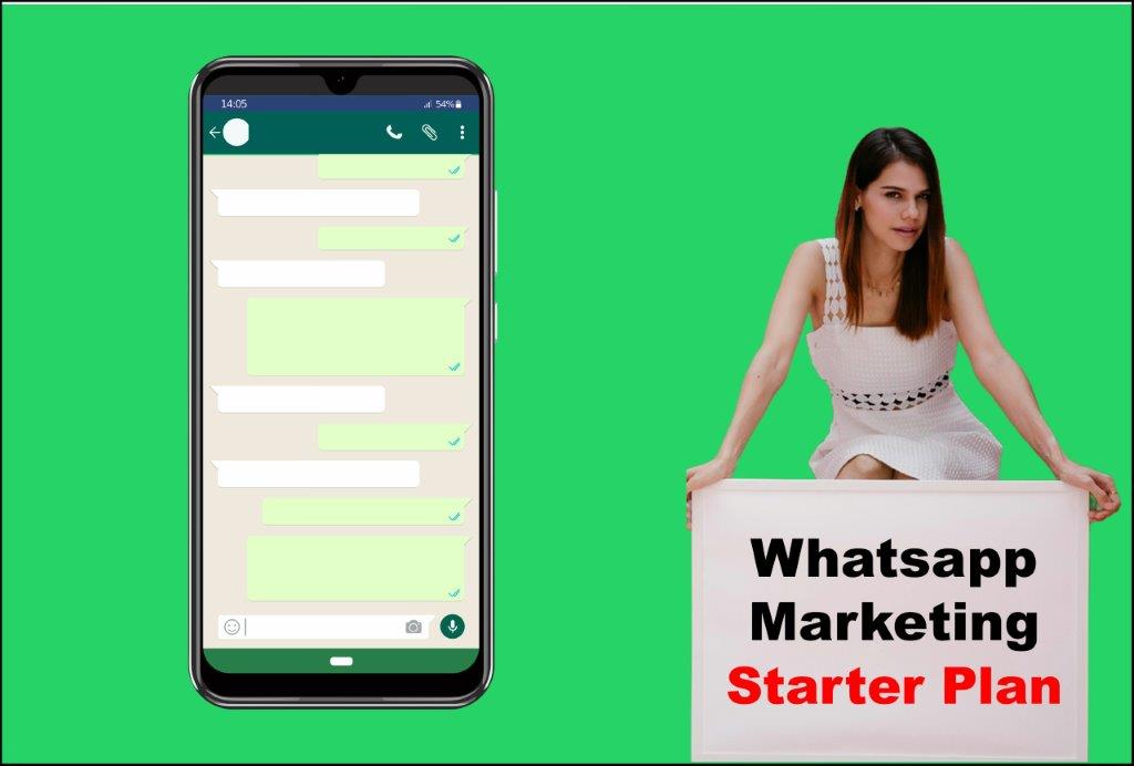 Whatsapp Marketing Agency in Helena Montana