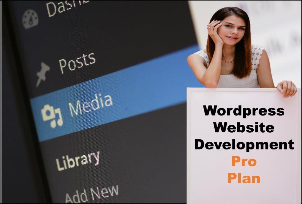 wordpress website designing in Helena Montana