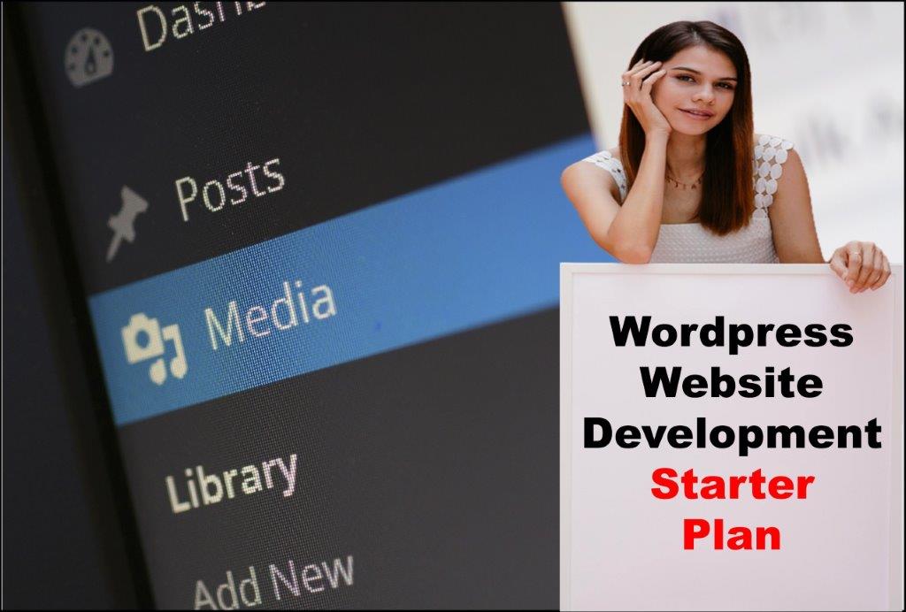 wordpress website development agency in Helena Montana